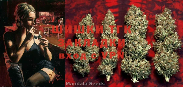 шишки Семёнов